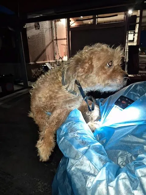 Zeus