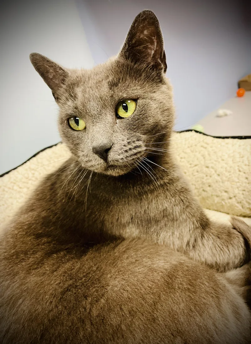 Sydney