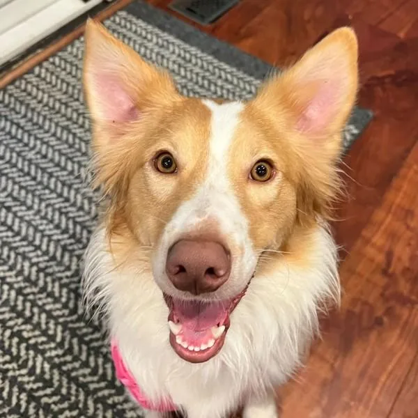 Alora