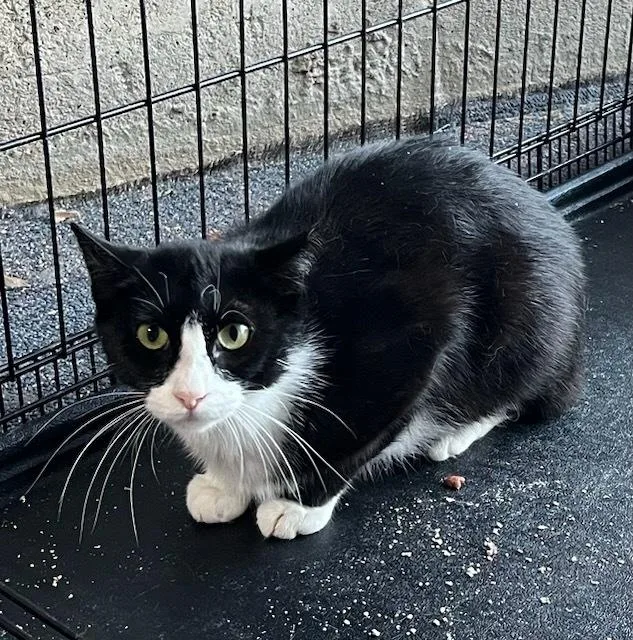 Gemma  Grumman thumbnail 3