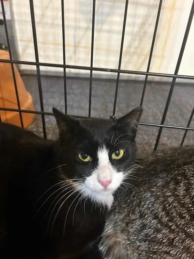 Gemma  Grumman thumbnail 5