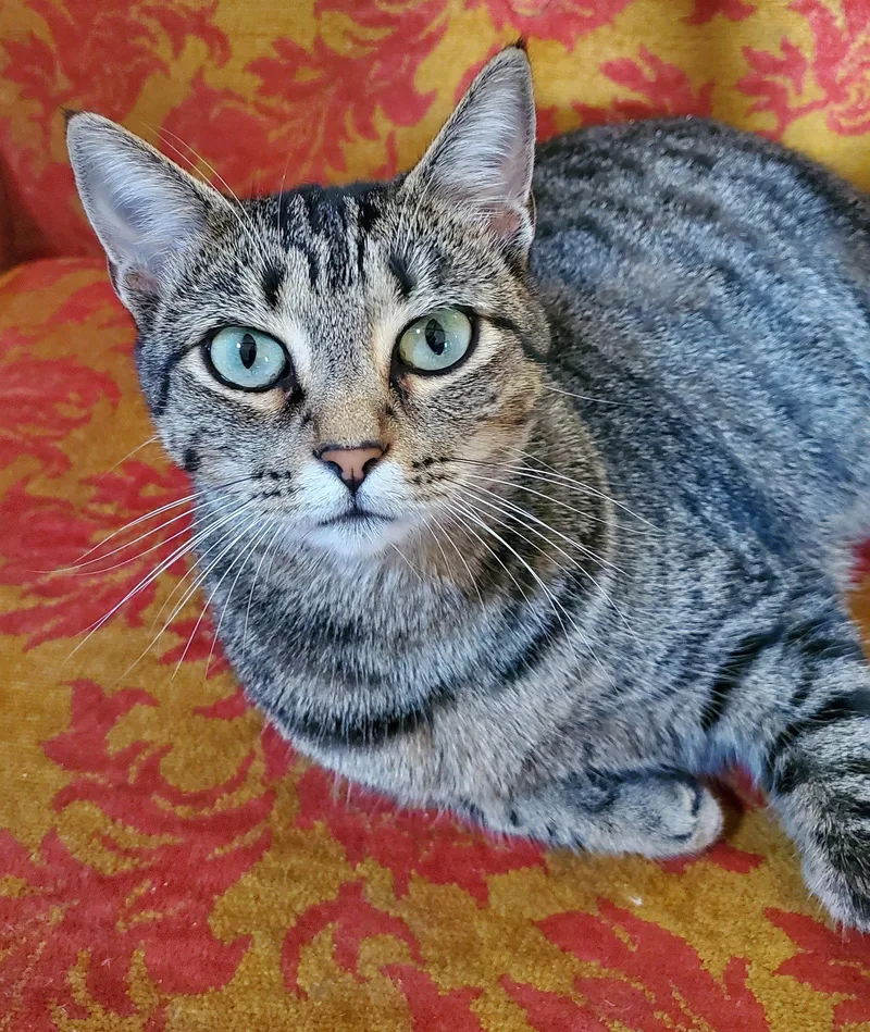 Zena  Bonded with thumbnail 3