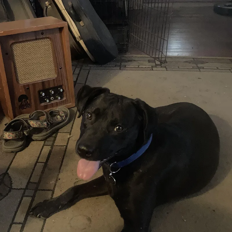 Midnight thumbnail 2