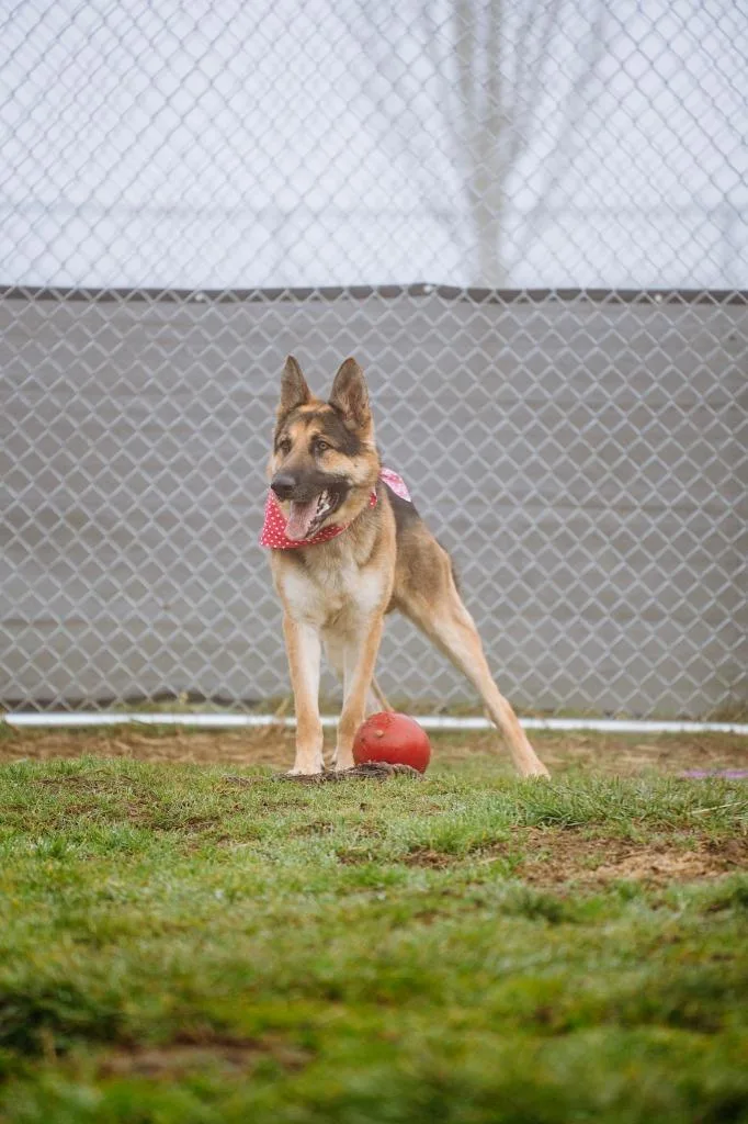 Whiskey  Sponsored By thumbnail 2