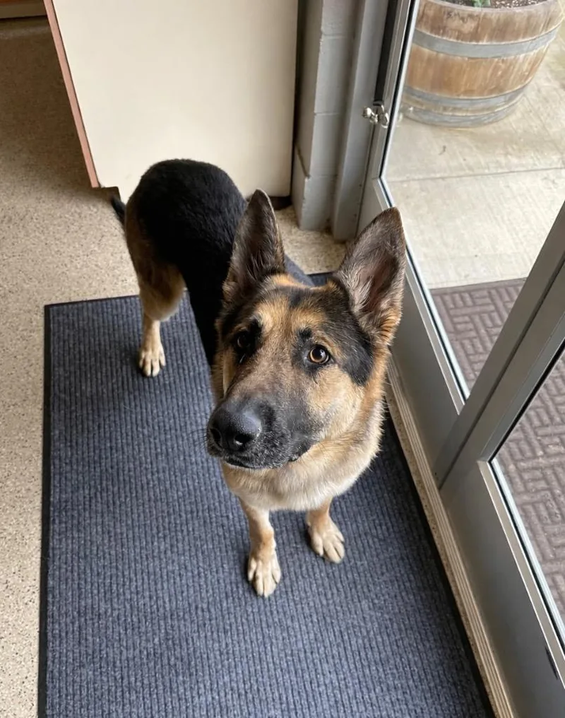 Whiskey  Sponsored By thumbnail 5