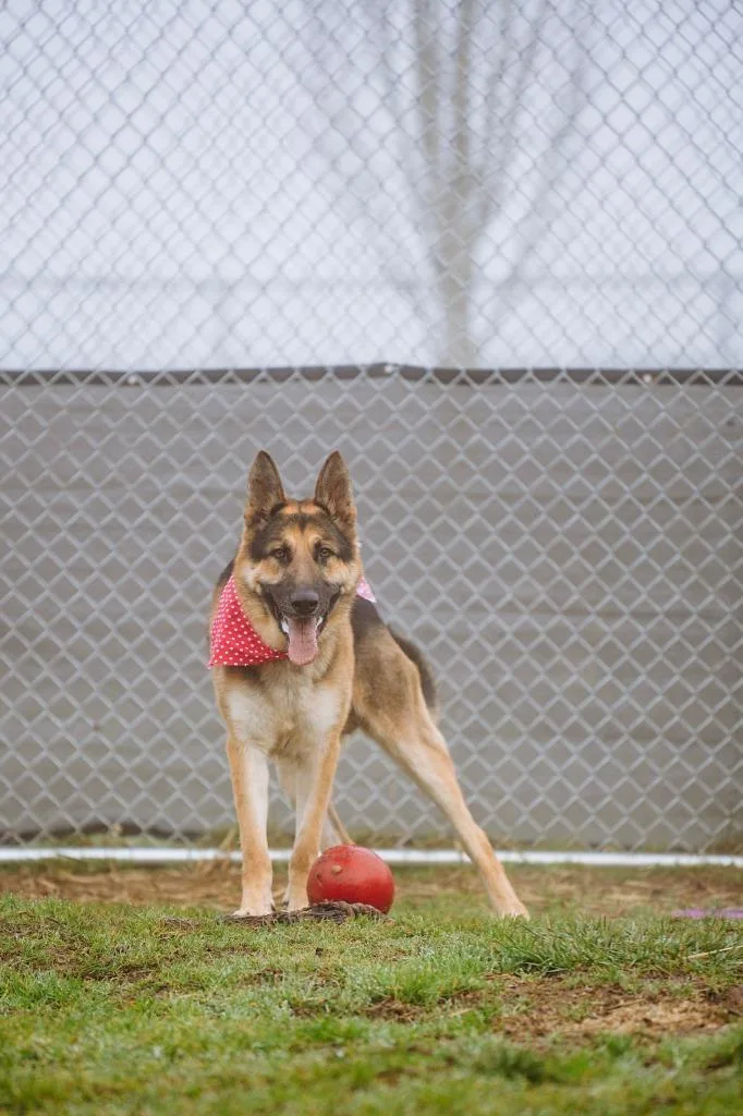 Whiskey  Sponsored By thumbnail 6