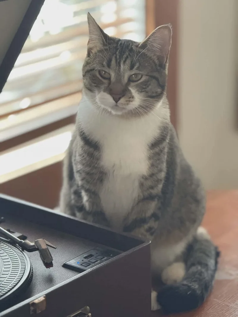 Chia & Reishi thumbnail 2