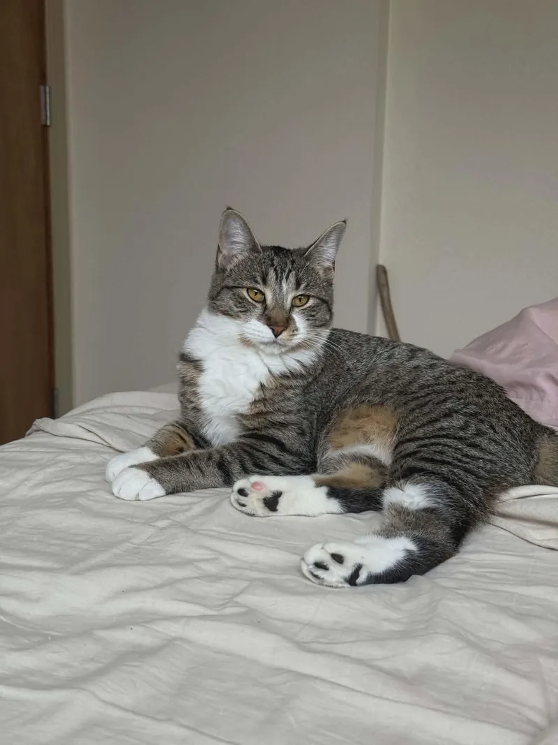 Chia & Reishi thumbnail 3