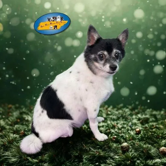 Baby thumbnail 3