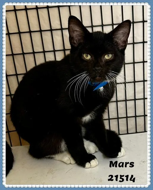 Mars thumbnail 3