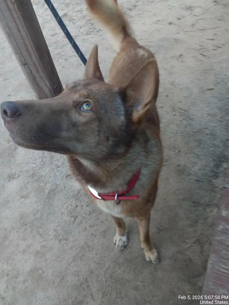 Thor