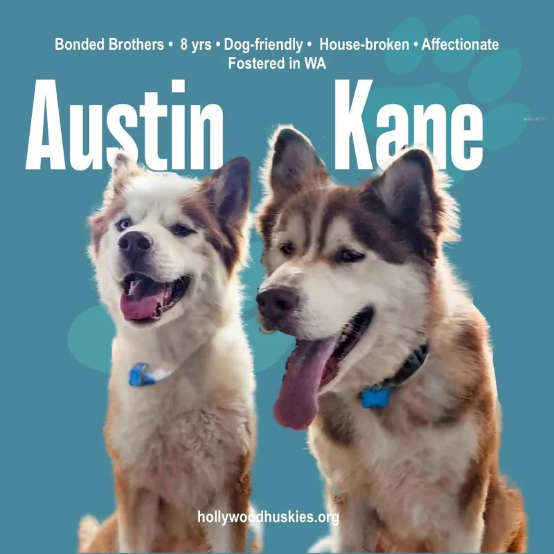 Austin & Kane