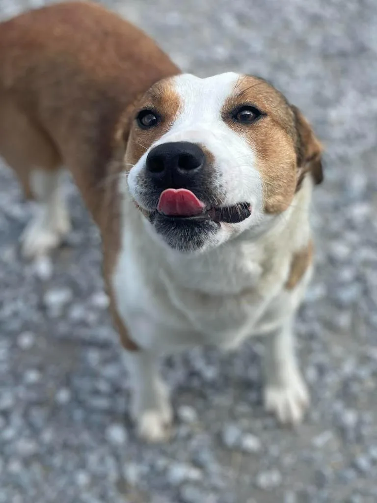 Clementine thumbnail 2