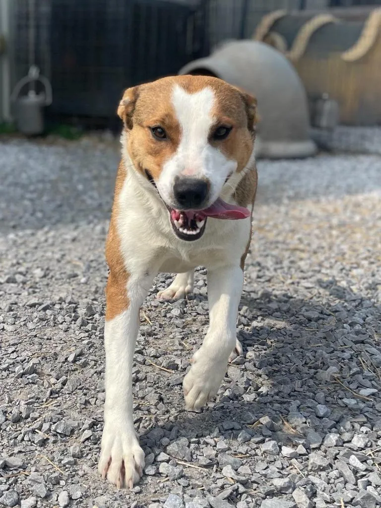 Clementine thumbnail 3