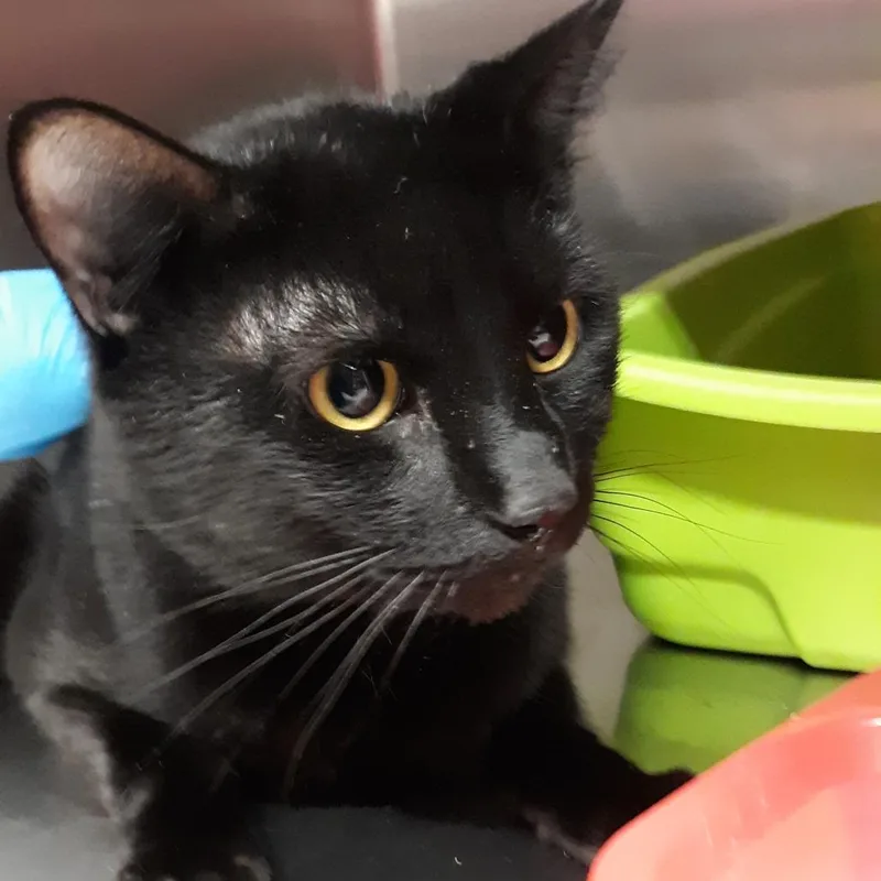 Exemplar thumbnail 3