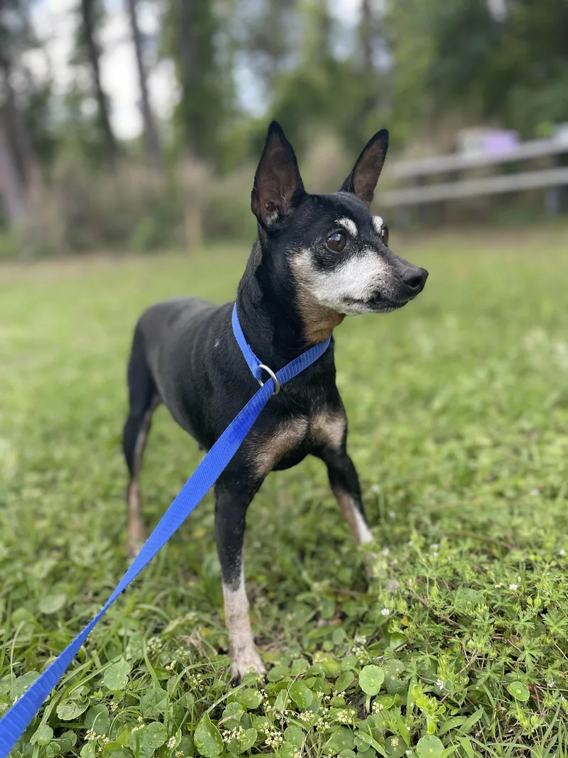 Samantha thumbnail 3