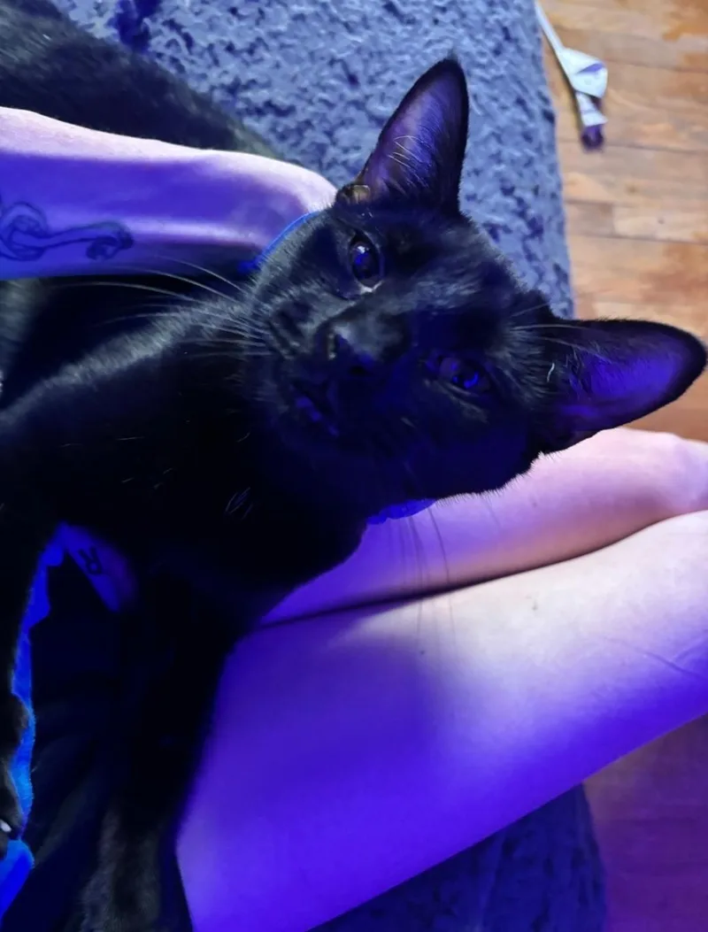 Clawdia thumbnail 2
