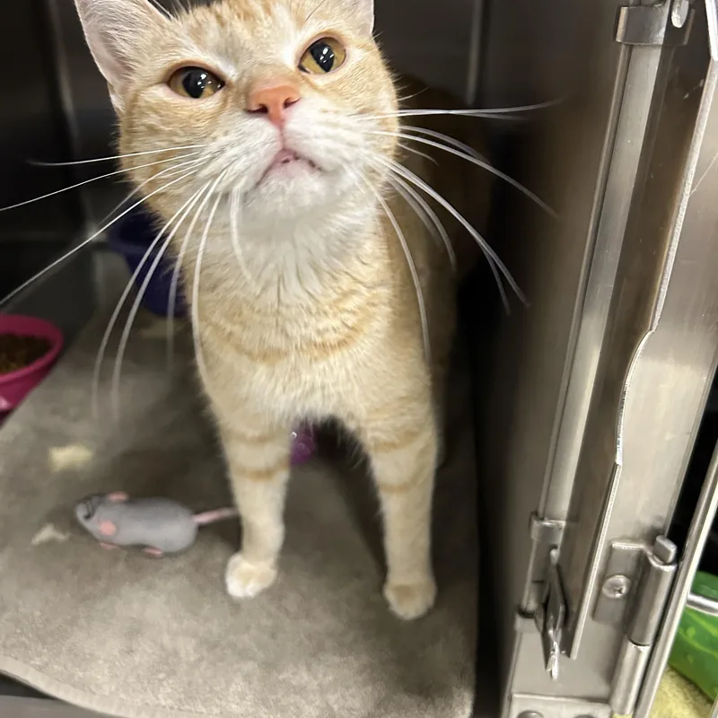 Susan thumbnail 2