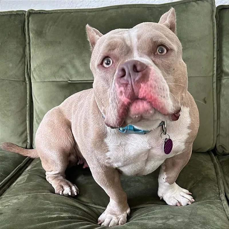 Penelope thumbnail 5