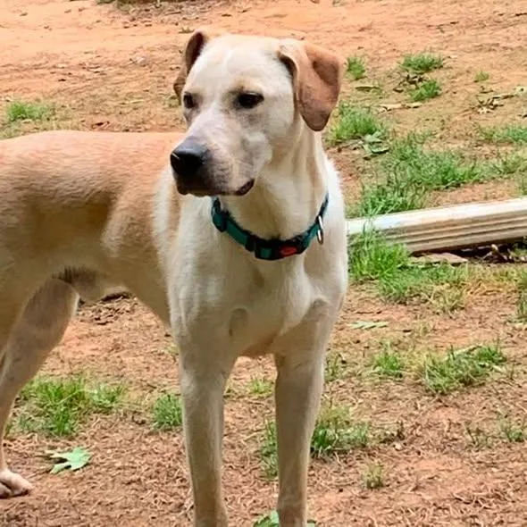 URGENT Max thumbnail 2