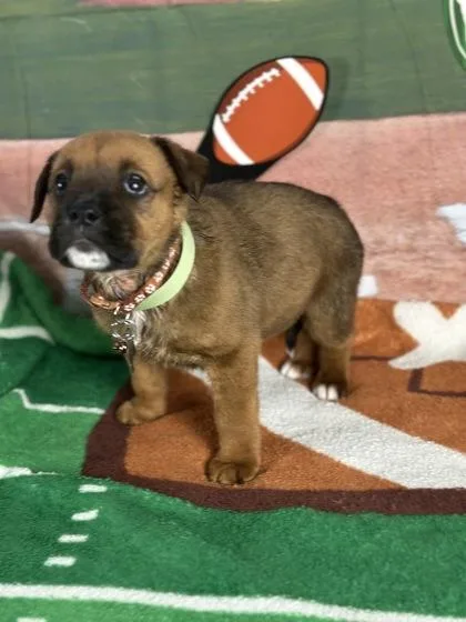 Receiver thumbnail 2