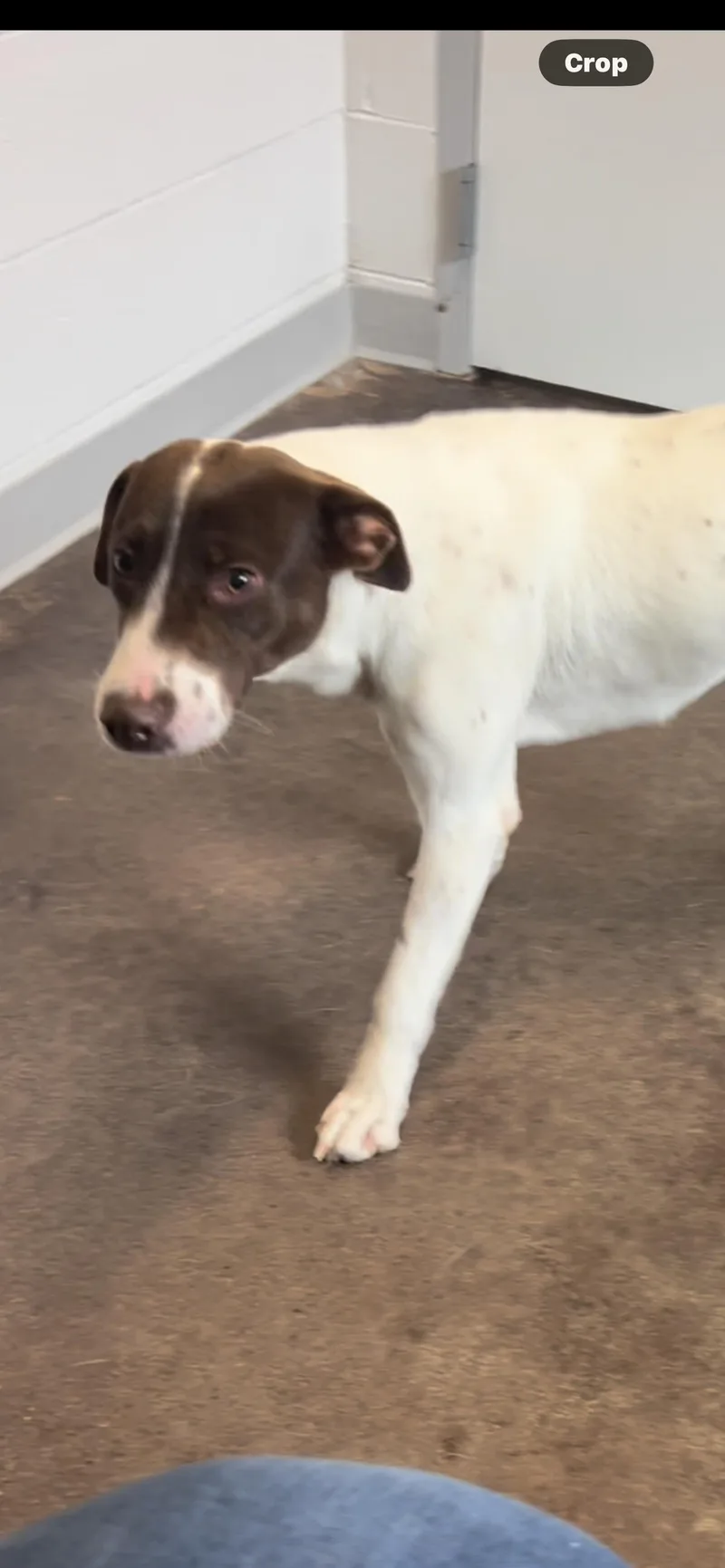 Heather Lee thumbnail 2