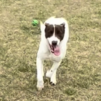 Heather Lee thumbnail 3