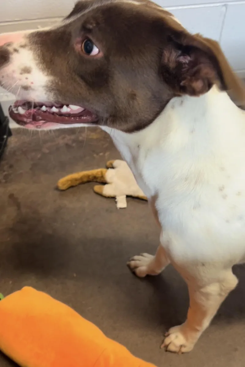 Heather Lee thumbnail 4