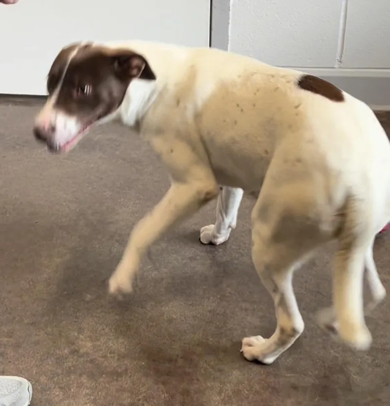 Heather Lee thumbnail 5