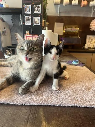 Grace & Elvis