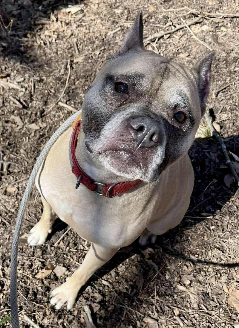 Sophia  Sponsored By thumbnail 2