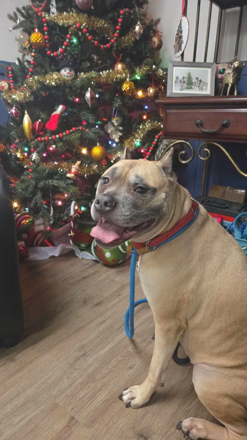 Sophia  Sponsored By thumbnail 3