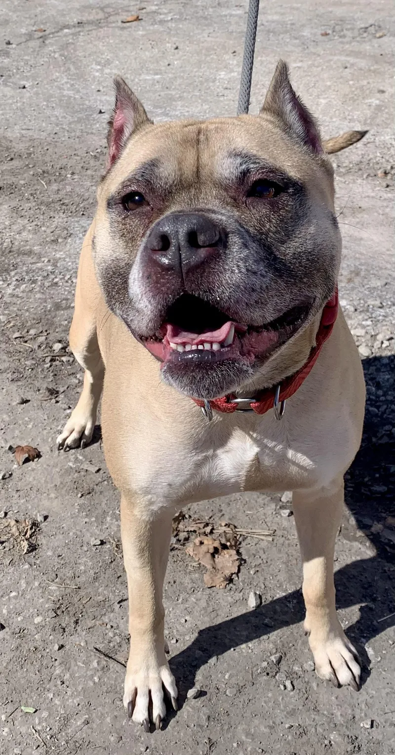 Sophia  Sponsored By thumbnail 4