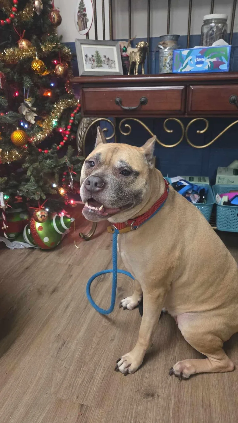 Sophia  Sponsored By thumbnail 5