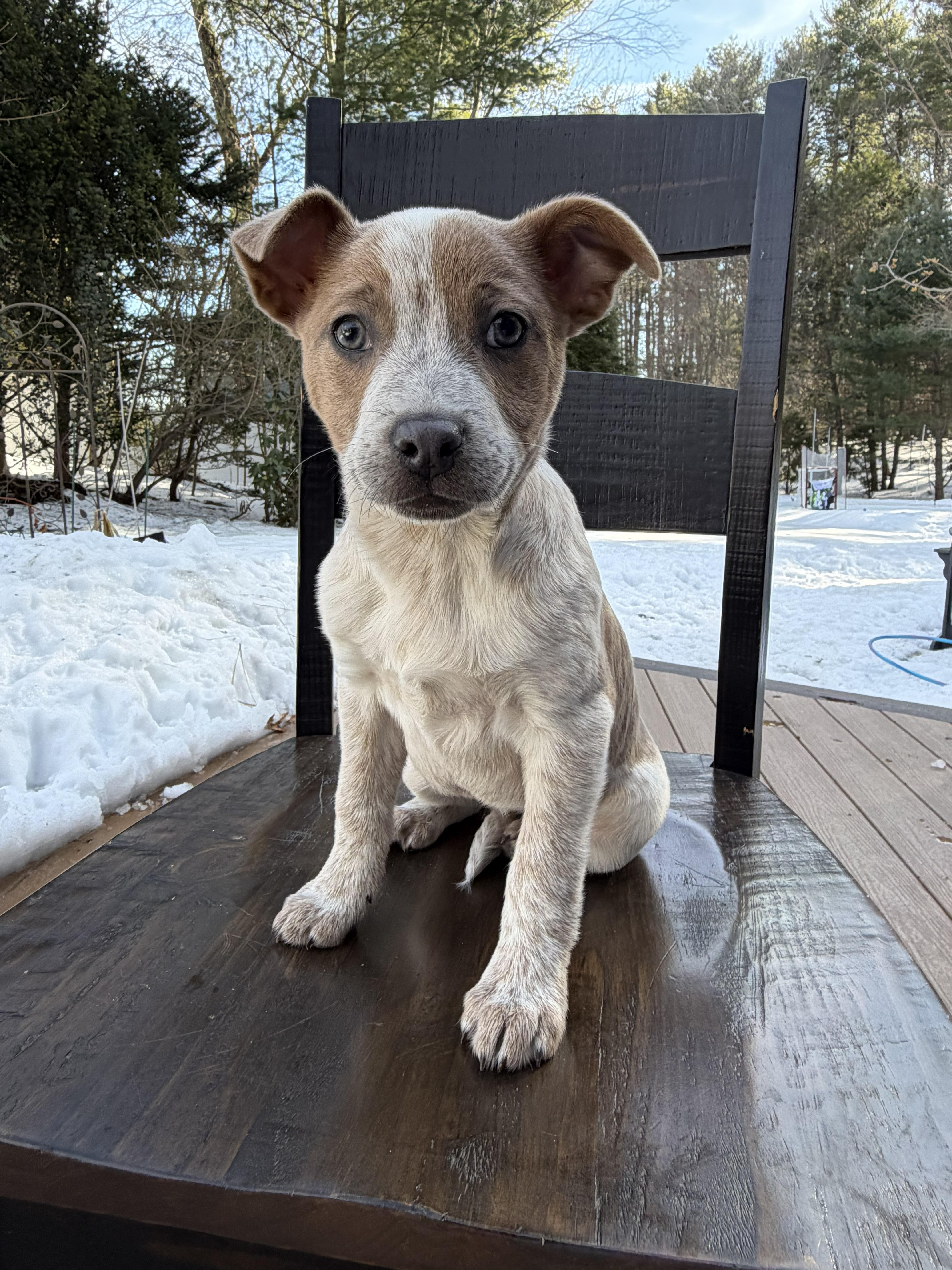 Peach Kart  Local thumbnail 3