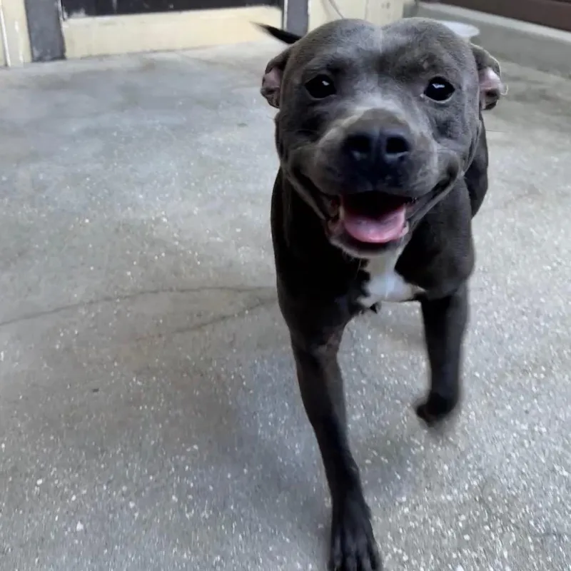 Killian Aka Gracie thumbnail 2