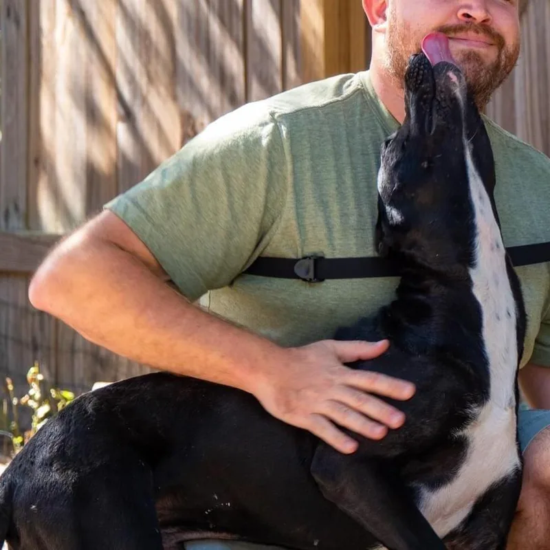 Vincent Van Gogh thumbnail 4