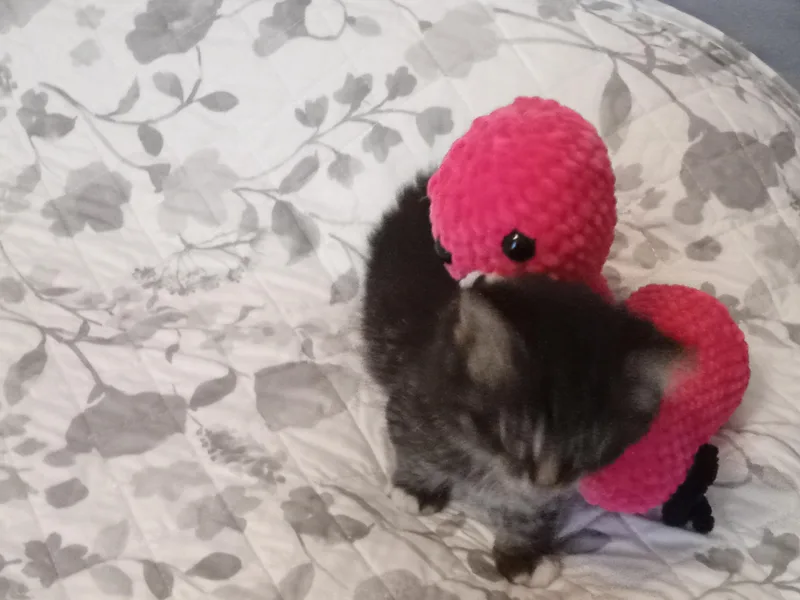 Little Big thumbnail 3