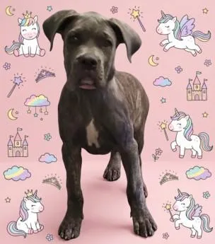 Unicorn Princess Sweetie
