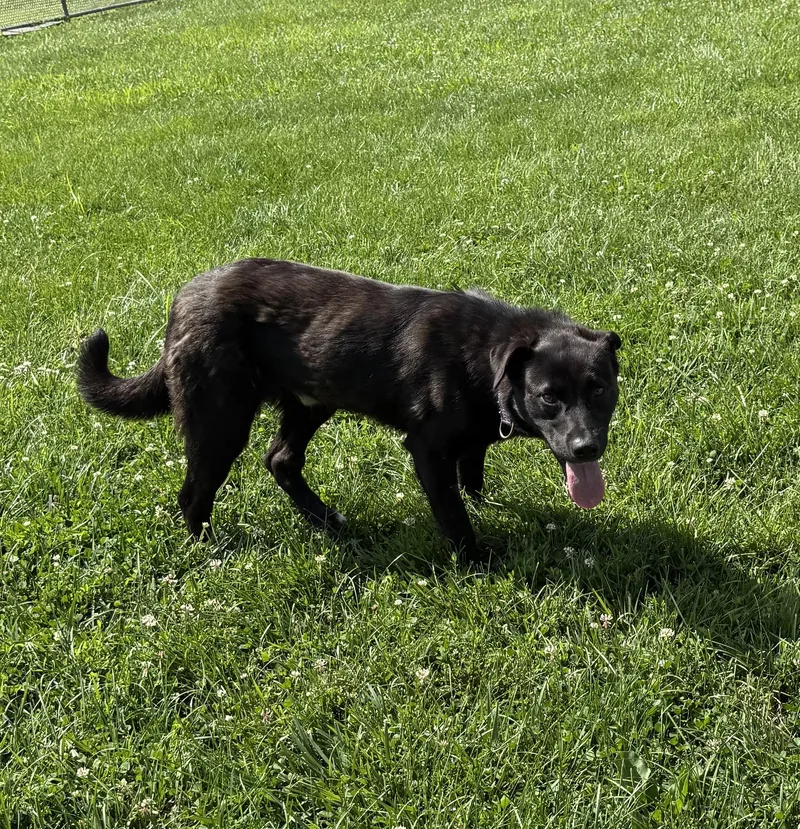 Jack