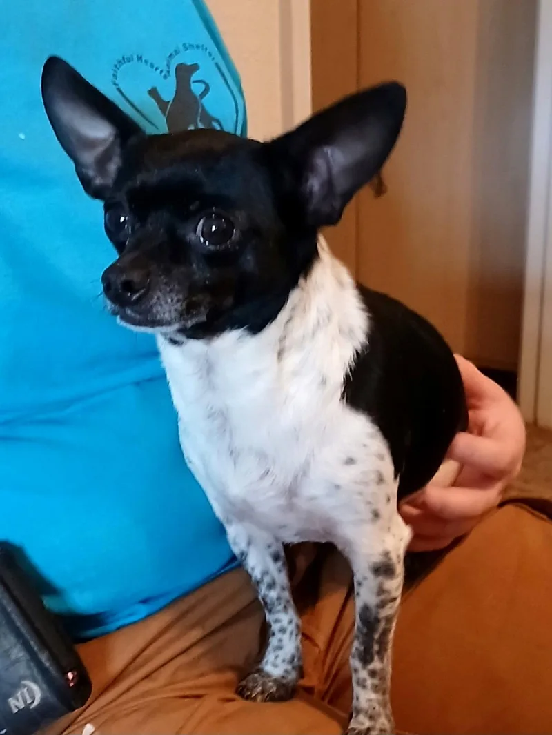 DeeDee thumbnail 3