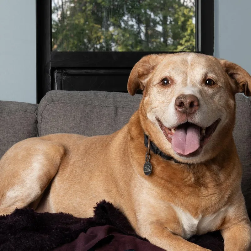 Einstein thumbnail 2