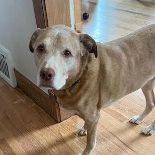 Einstein thumbnail 3