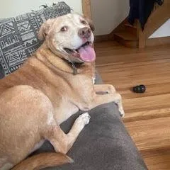 Einstein thumbnail 4