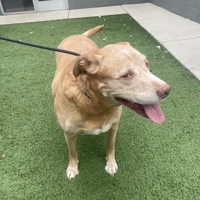 Einstein thumbnail 6