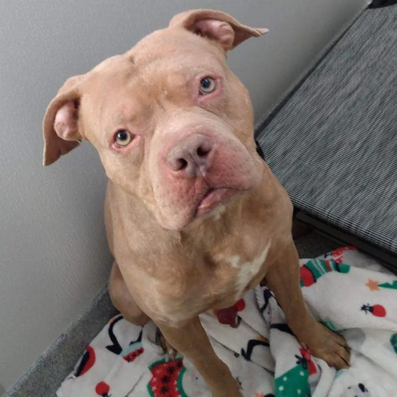 Pritchett thumbnail 2