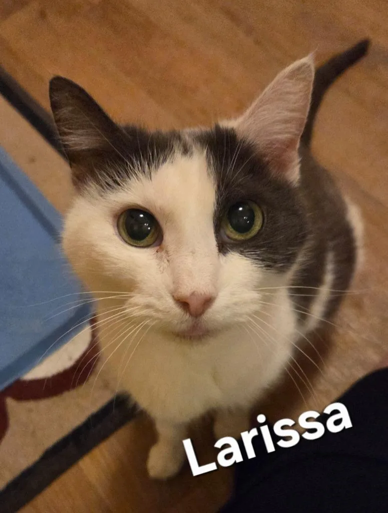 Larissa thumbnail 4