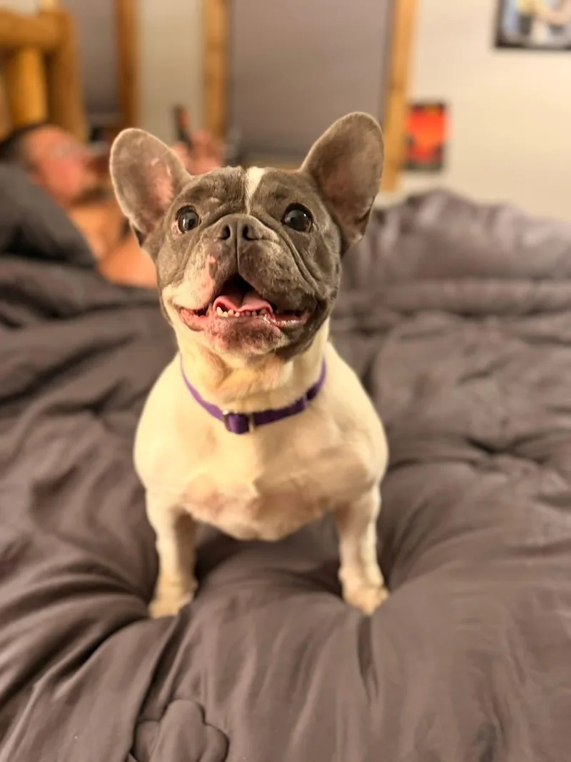 Princess thumbnail 2