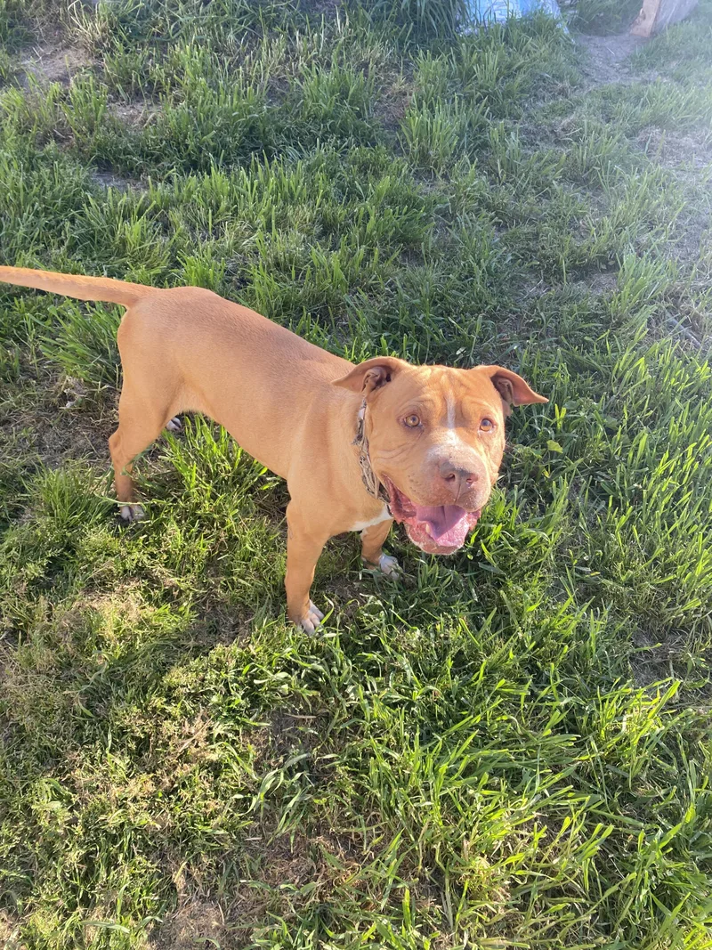 Mister Squish thumbnail 2