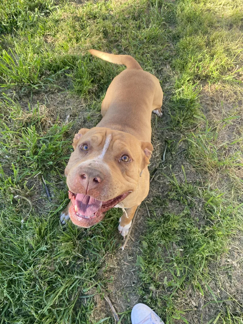 Mister Squish thumbnail 6